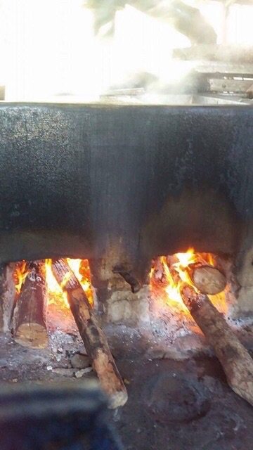 Cao hà thủ ô 100% nguyên chất lọ 100g Thiên Phúc việt | BigBuy360 - bigbuy360.vn