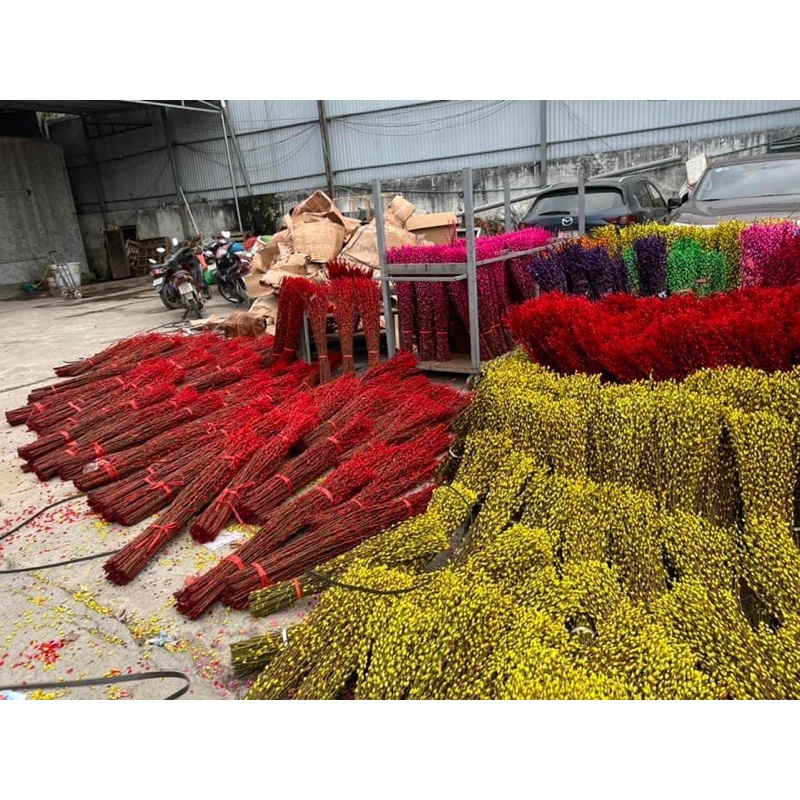 Nụ tầm xuân khô cao 80-1m❤️hoa cắm ngày tết , trang trí nhà cửa