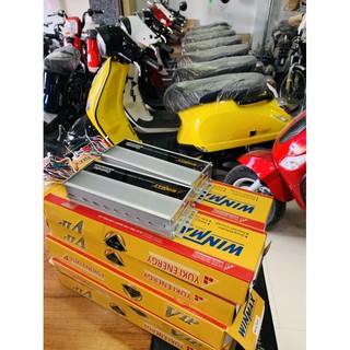 IC Winmax 1000W 18 sò 48/60V