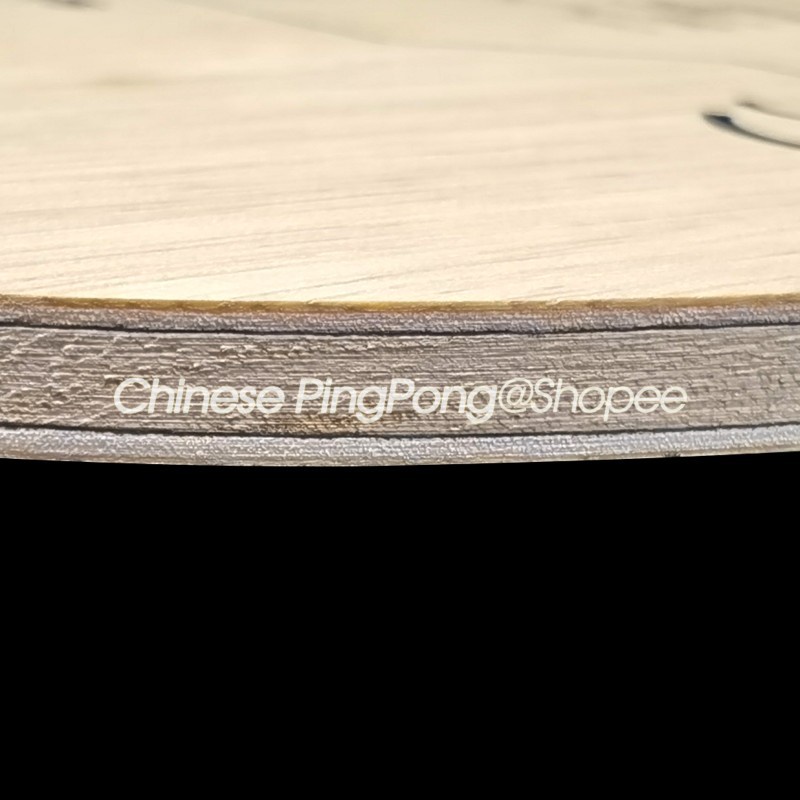 Vợt Bóng Bàn SANWEI CC CARBON