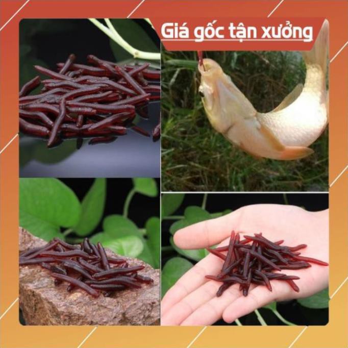 Mồi Giun Giả Siêu Nhậy Không Có Hóa Chất Siêu Bền