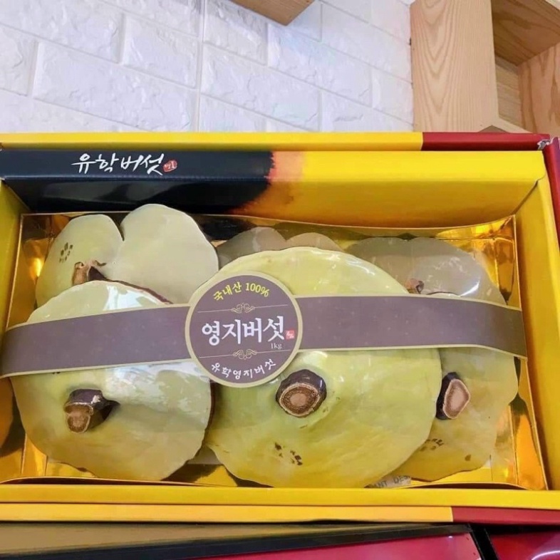 NẤM LINH CHI HỘP CÔ GÁI HÀN QUỐC ( TẶNG 1 HỘP TÁO ĐỎ) [ Hàng Mới Về ]