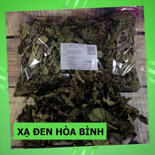 Cây Xạ Đen Rừng ( Xạ Đen Hòa Bình )