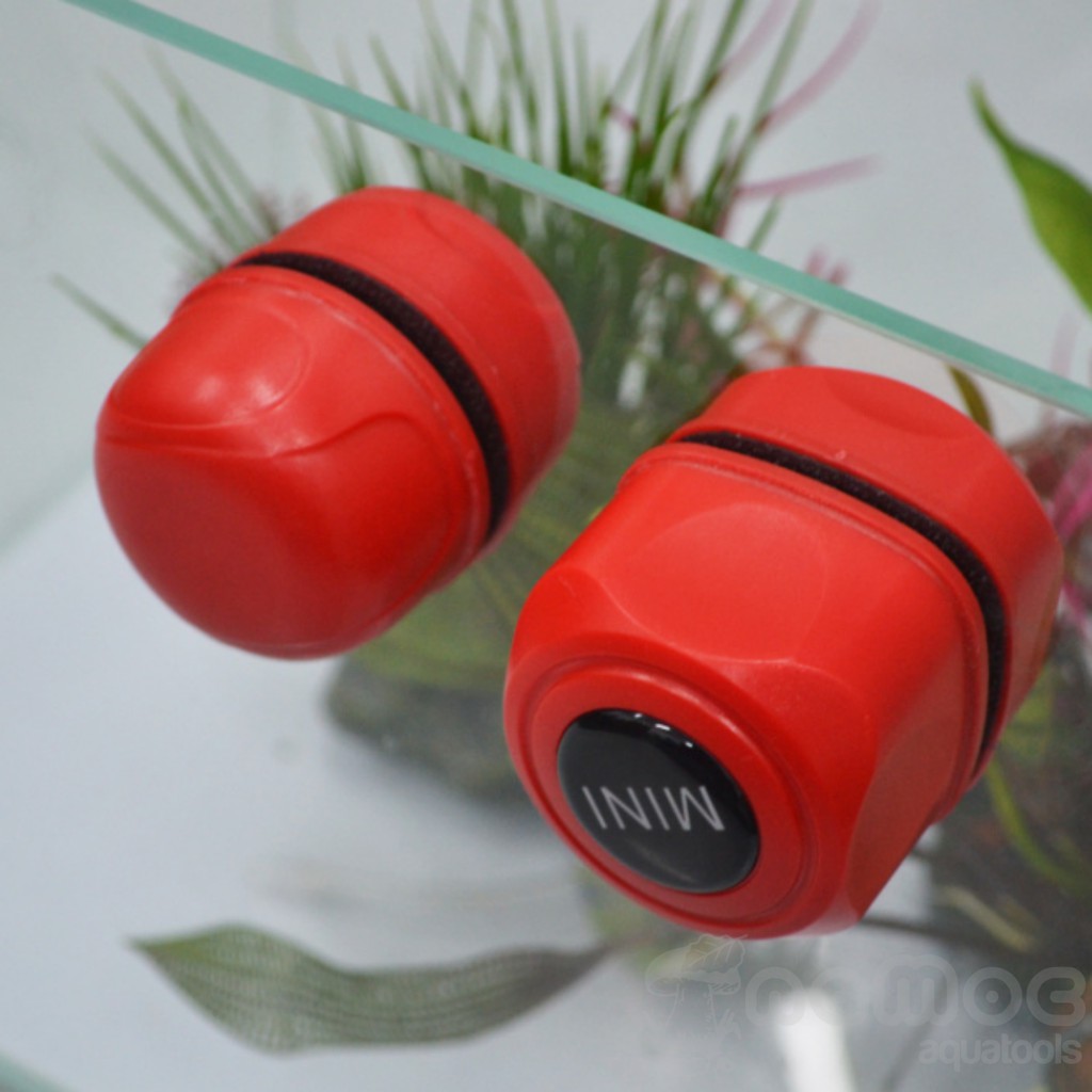 Nam Châm Cọ Bể Mini (nhiều size)