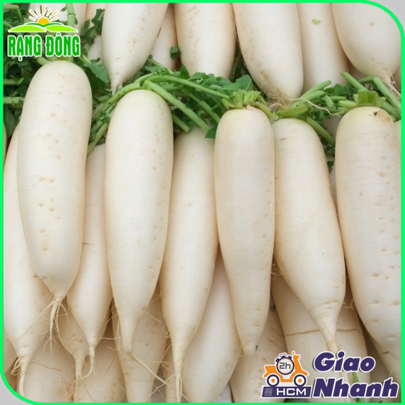 Hạt giống Củ Cải Trắng Dễ Trồng Củ To Dài, Sinh Trưởng Khỏe (gói 50 gram) - Hạt giống Rạng Đông