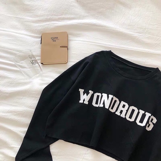 [Mã FAMARAL1 giảm 10K đơn 50K] Áo thun croptop tay dài wond form rộng