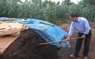 Phân hữu cơ vi sinh trùn quế