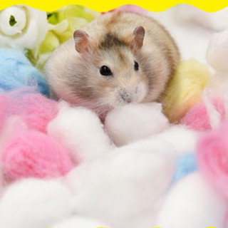 Bộ 100 Bóng Cotton Nhiều Màu Sắc Cho Chuột Hamster