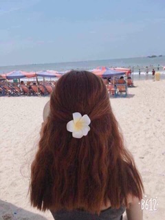 HOA SỨ CÀI TÓC XINH LUNG LINH