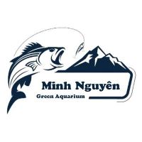 Aqua Minh Nguyen