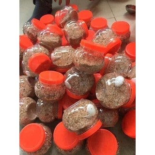 Chẳm Chéo Dân Tộc Thái Điện Biên Đặc Sản Tây Bắc ( sản xuất theo ct gia truyền )