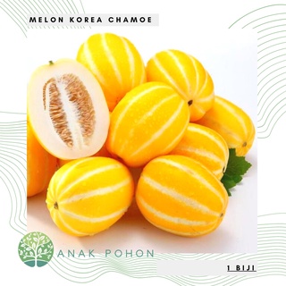Hạt giống - Giống dưa Hàn Quốc Chamoe Oriental Cucumis melo Makuwa