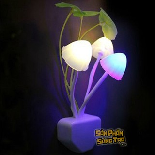 Đèn ngủ cánh nấm-t3a3