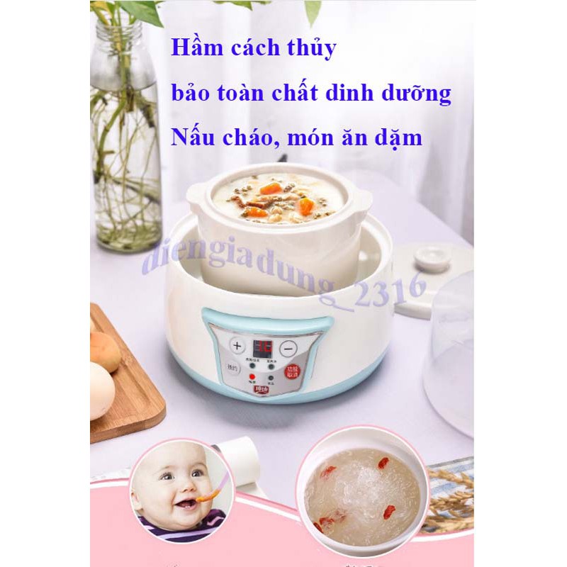 Nồi nấu cháo chậm, Nấu cháo trẻ em, hầm, nấu súp, các món hấp _ tặng kèm vỉ hấp