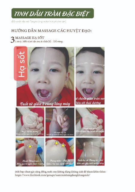 Tinh dầu tràm đặc biệt Viên Minh 50ml (CHÍNH HÃNG)