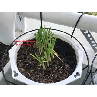 Giỏ Sắt Treo Chậu Có Khung Trợ Lực Chậu Cây Ban Công, Hàng Rào Màu Đen