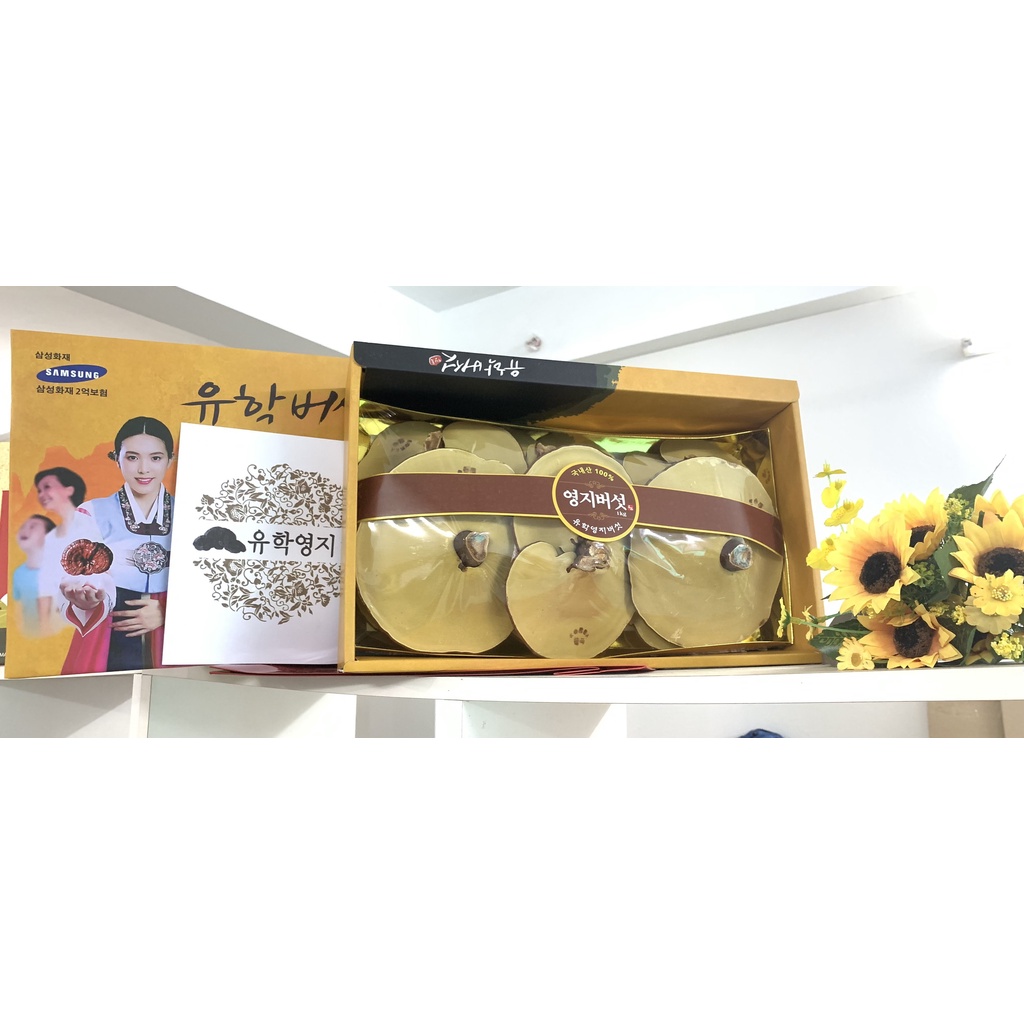 Nấm Linh Chi hộp cô gái