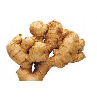 Củ Gừng Ta (hàng loại 1).