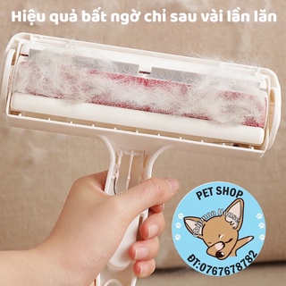 Cây Lăn Lông Tĩnh Điện