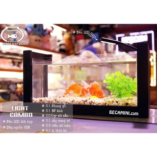 [BH 1 năm] Bể cá mini khung gỗ (tặng kèm thức ăn + cây trang trí + sỏi nền)