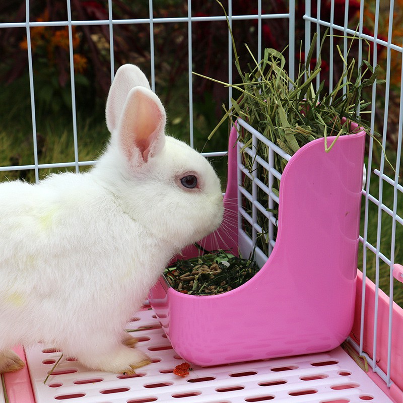 máng ăn cho thỏ,đồ dùng cho thỏ Rabbit 2-in-1 Grass Stand Pet