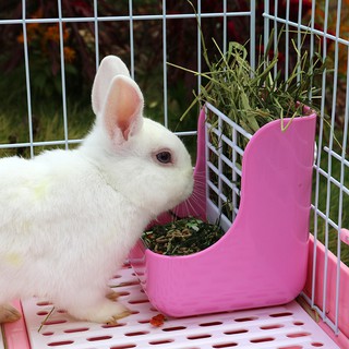 Máng ăn cho thỏ,đồ dùng cho thỏ Rabbit 2-in-1 Grass Stand Pet