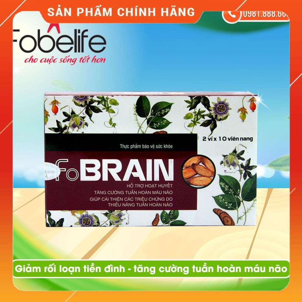 Giảm nhanh rối loạn tiền đình, tăng cường tuần hoàn mãu não- Đạt chuẩn GMP- FOBRAIN.