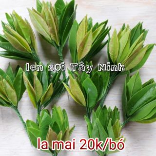 Lá hoa mai, hoa đào