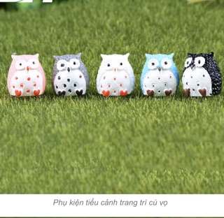 Phụ kiện tiểu cảnh: cú vọ