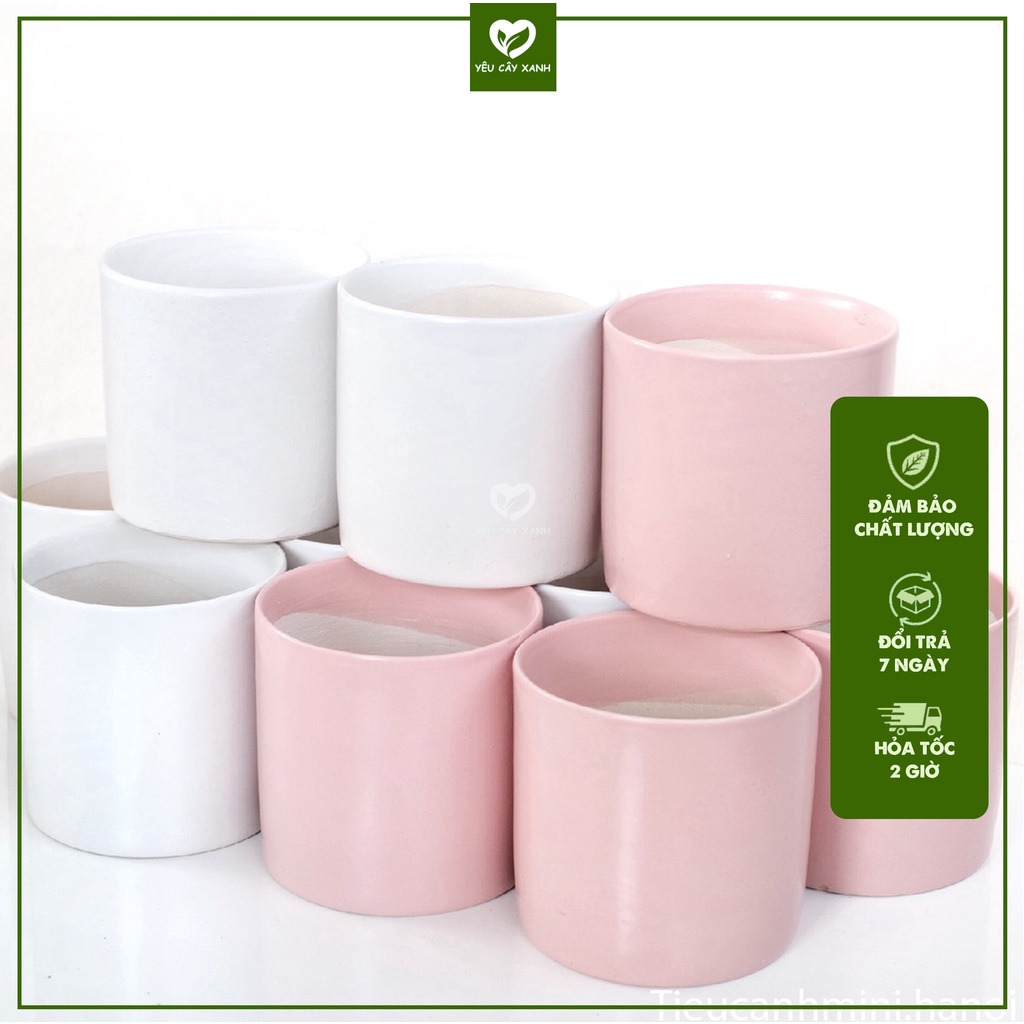 Chậu Trụ 11x11cm Trồng Cây Để Bàn, Cây Phong Thủy