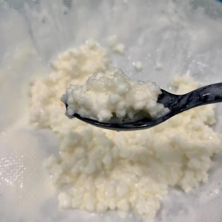 Nấm Kefir làm sữa chua Tây Tạng