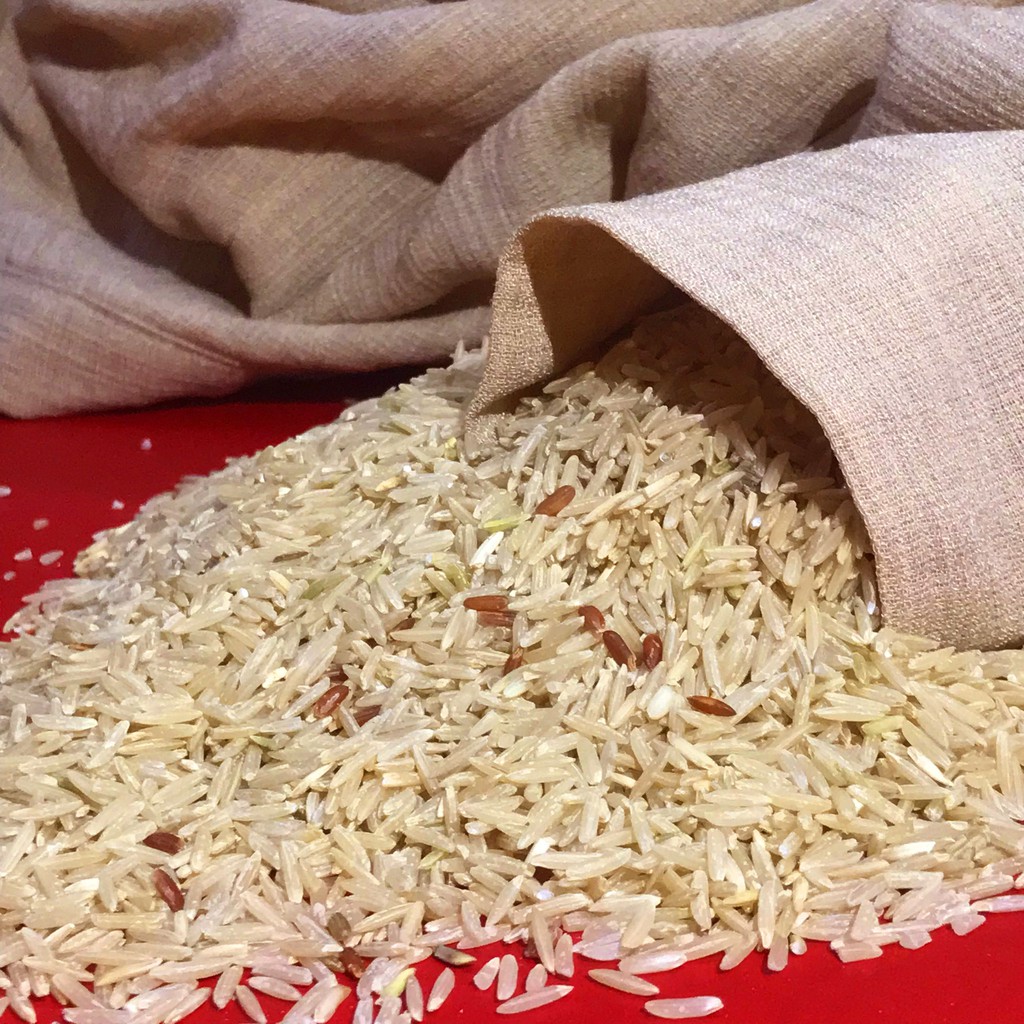 Gạo Lứt Hữu Cơ ST24 Việt Nhật [1kg] | BigBuy360 - bigbuy360.vn