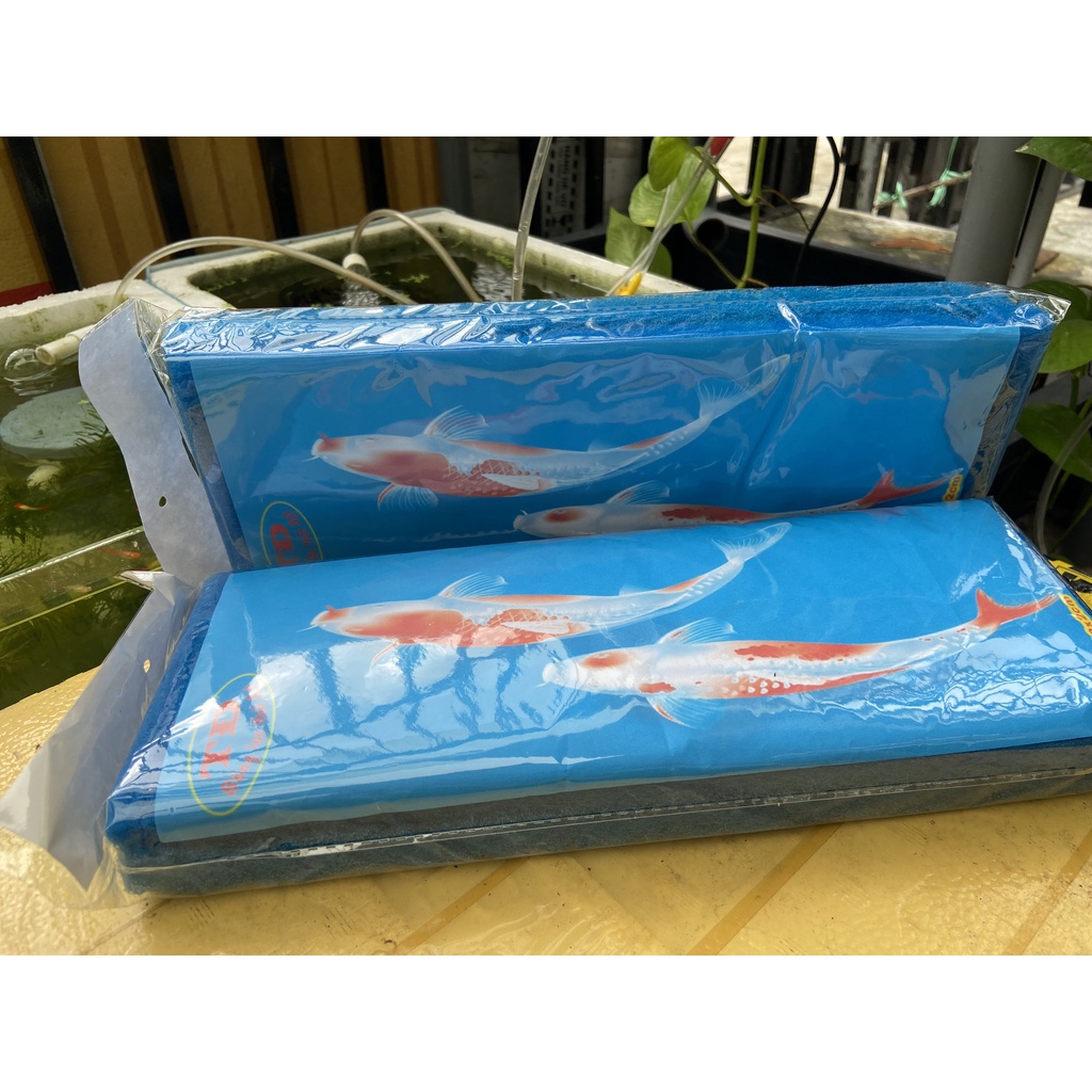 Bông lọc màu xanh cho hồ cá