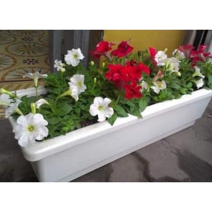 Combo 5 Chậu Nhựa Dài Thông Minh Trồng Rau Hoa Ban Công Kích Thước 48x20x16 cm (MRN-001-CB05)