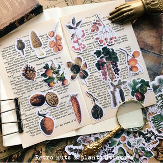 Sticker các loại quả vintage