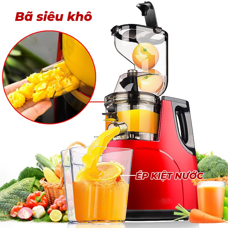 Máy ép chậm HONGXIN RH-312 cỡ lớn ép nguyên quả- Máy ép hoa quả