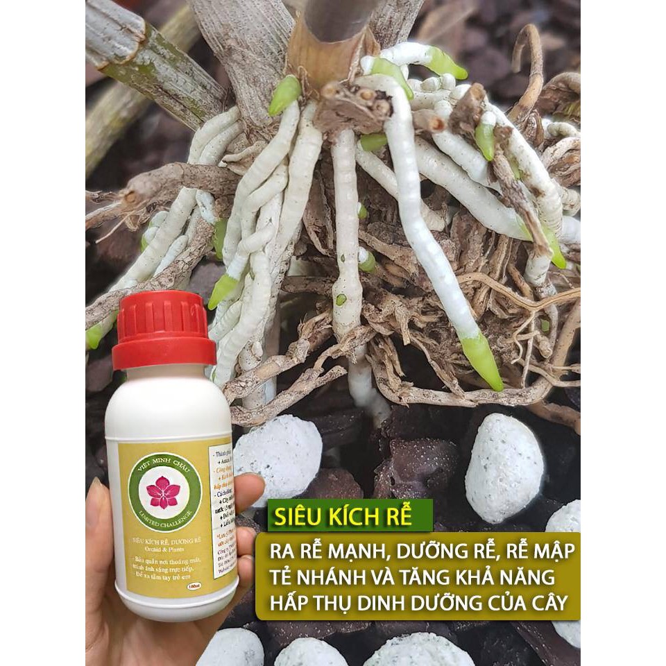 [CHÍNH HÃNG] Siêu Kích Rễ VMC