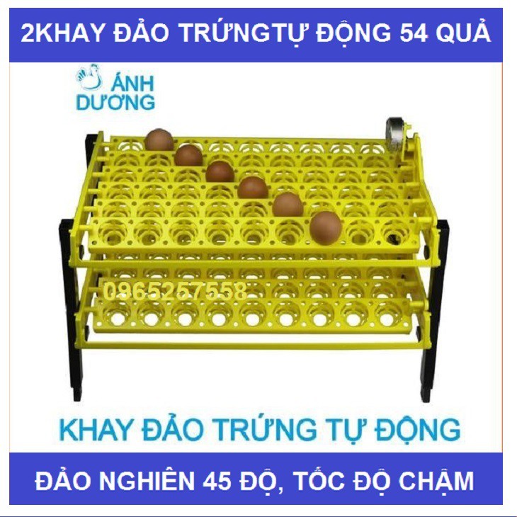 4 món Máy ấp trứng gà Ánh Dương P100 + 2 Khay đảo tự động, 01 đèn pin soi trứng tặng vitamin úm