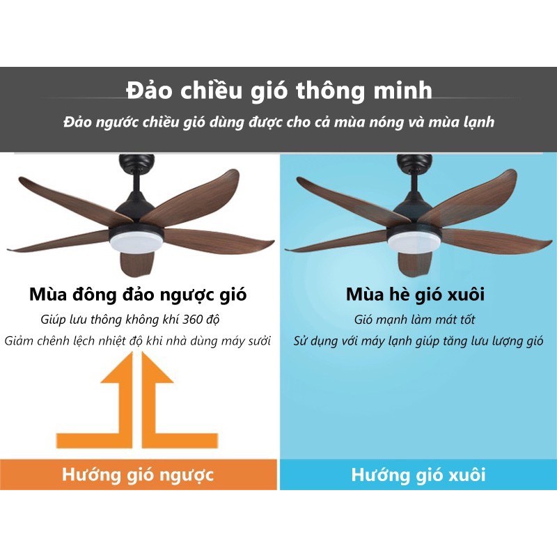 Quạt trần đèn 5 cánh điều khiển từ xa lắp đặt dễ dàng 6 cấp độ gió có chức năng đảo chiều kết hợp đèn LED 3 màu hiện đại