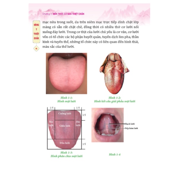 Sách - Đông y thiệt chuẩn(bìa mềm)