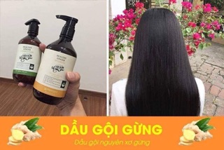 Dầu gội gừng