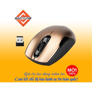 Chuột NEWMEN F266