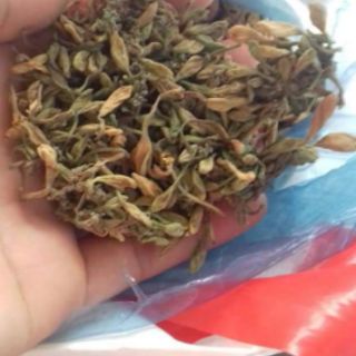 Hoa Đu Đủ Đực Khô