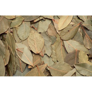 Lá Nguyệt Quế 50g