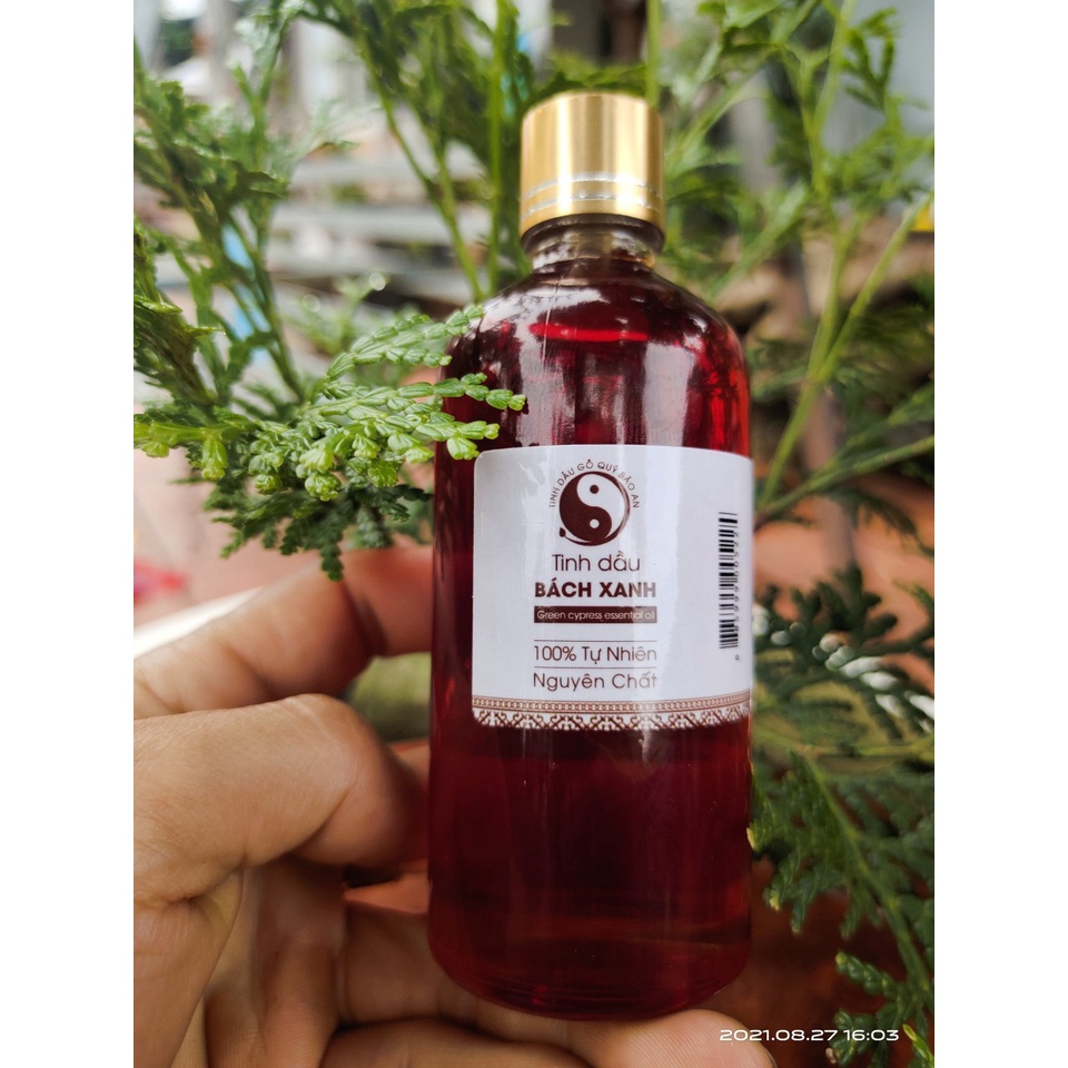 Tinh dầu gỗ Bách Xanh nguyên chất 10ml,100ml
