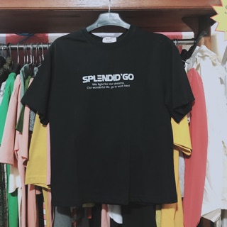 Sale áo thun cotton cao cấp - hình thật shop chụp
