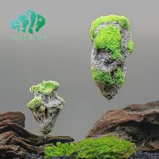 Mô hình đảo đá nổi trang trí bể cá