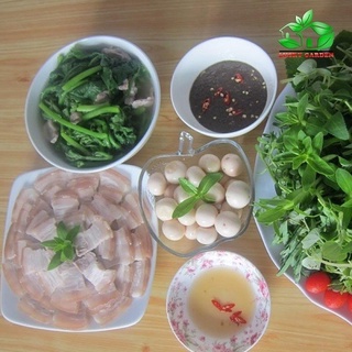 Hạt Giống Cà Pháo Trắng - Gói 2Gr