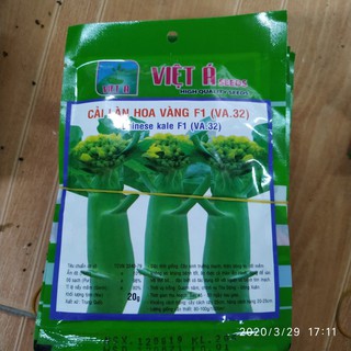 Hạt giống cải làn hoa trắng, vàng F1 gói 20g