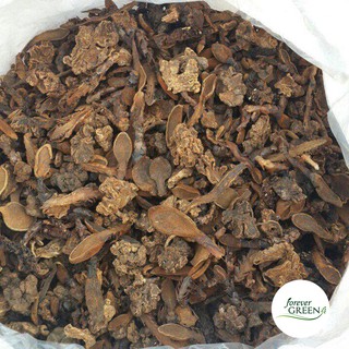 1KG Nấm ngọc cẩu khô - Bổ thận tráng dương, nhuận tràng thông tiểu - FG033